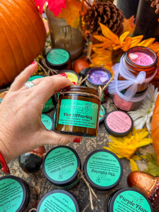 Book Nook Candle Collection – 4oz Coconut Soy