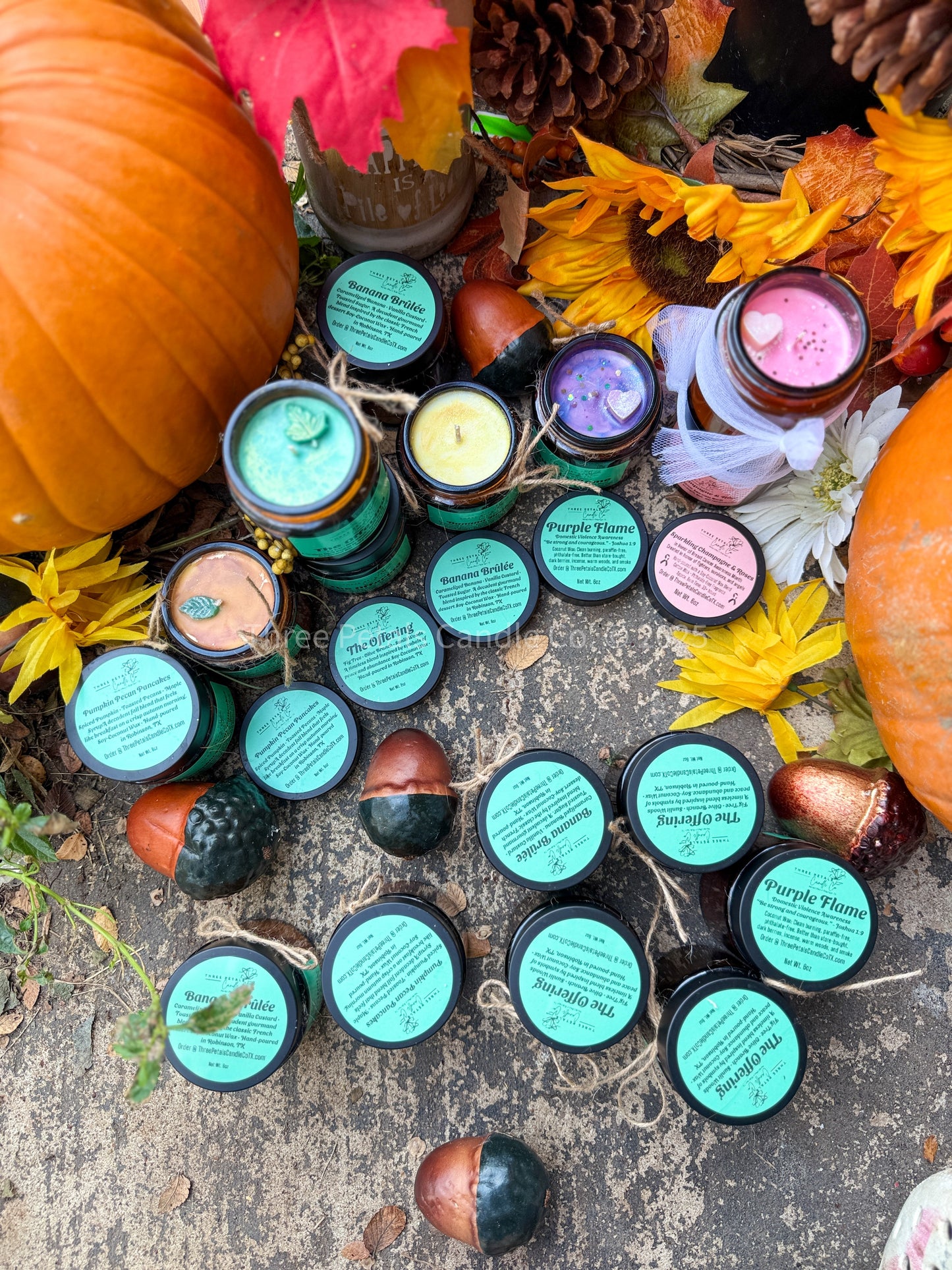 Book Nook Candle Collection – 4oz Coconut Soy