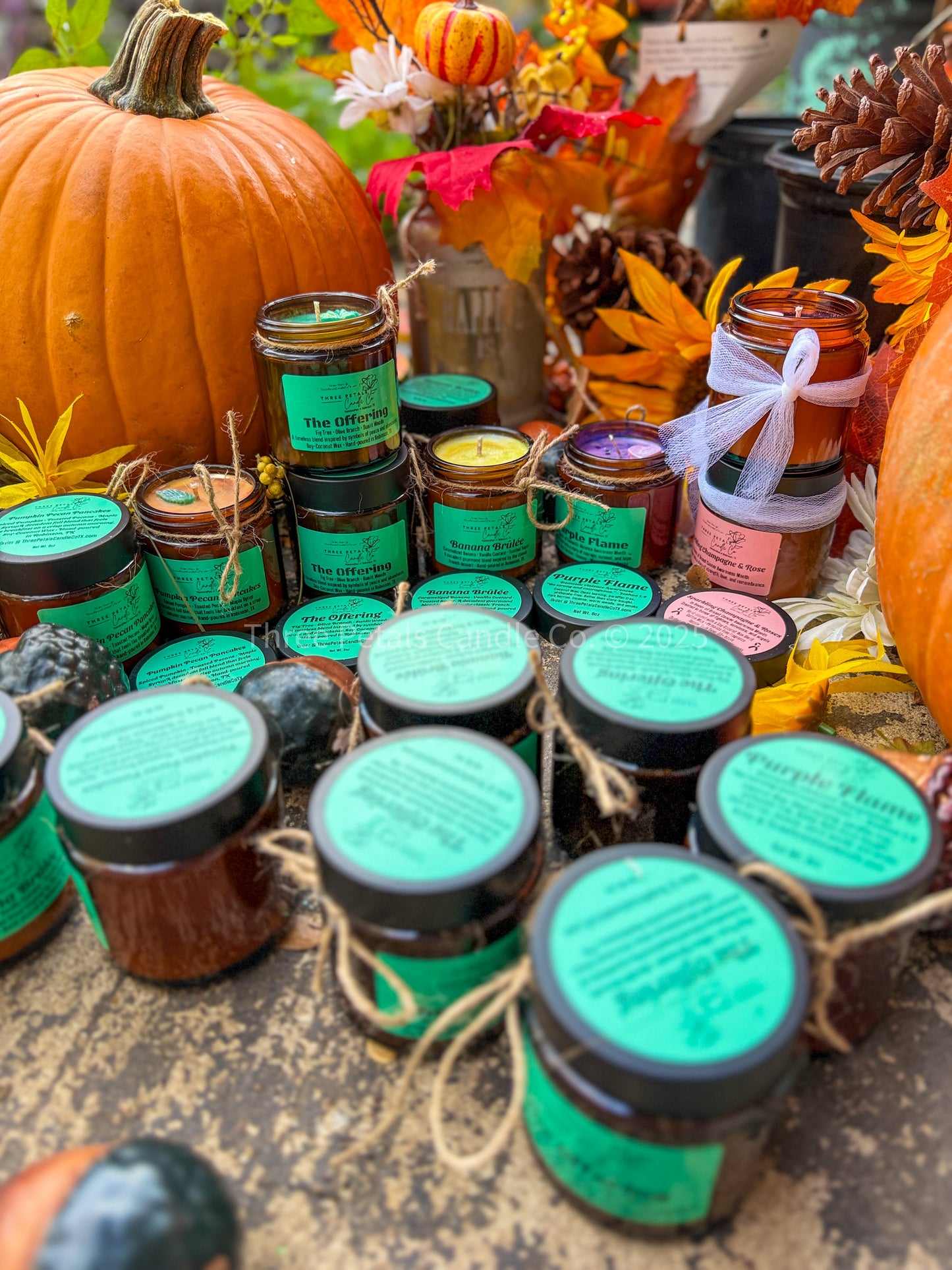 Book Nook Candle Collection – 4oz Coconut Soy