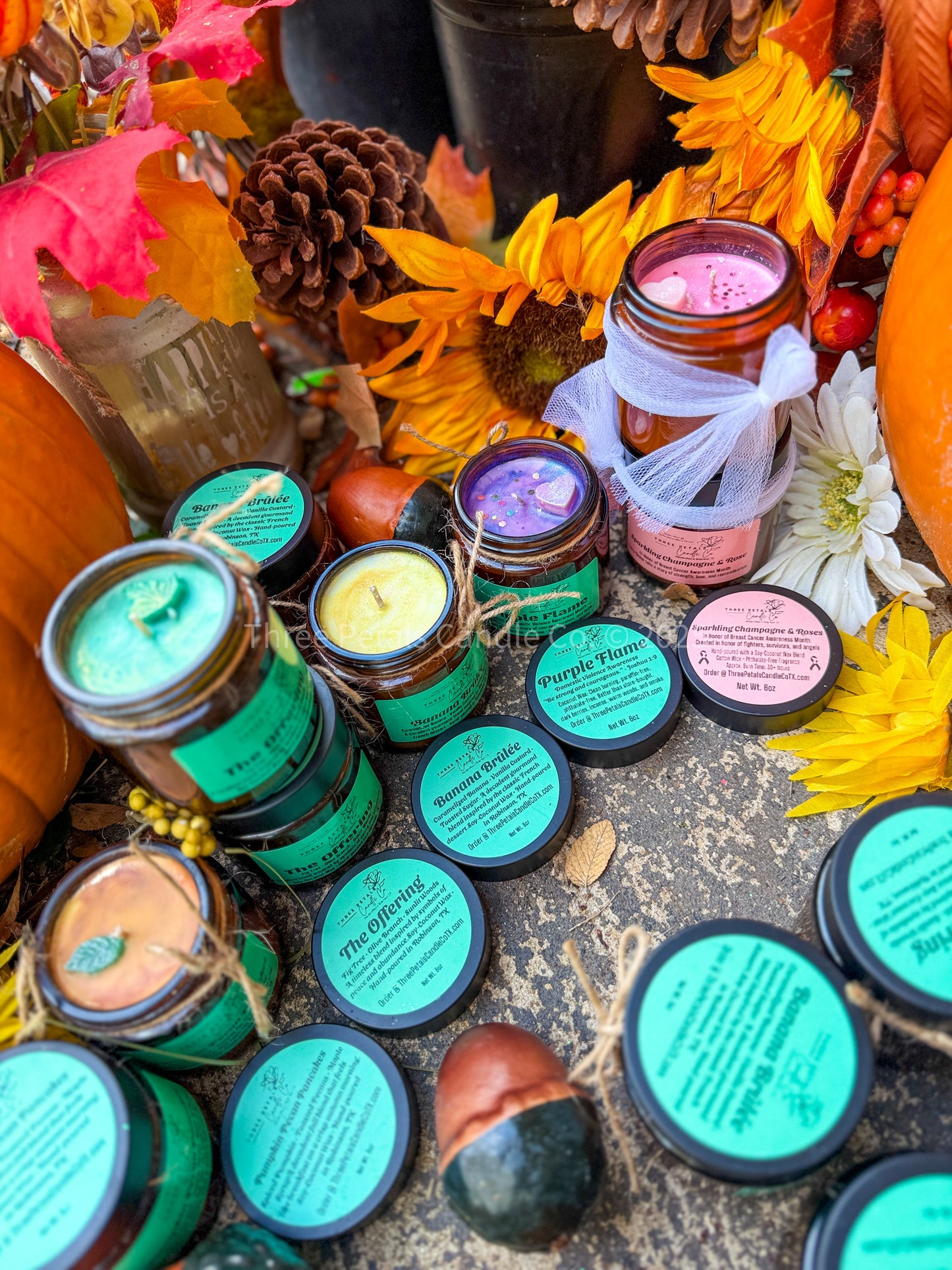 Book Nook Candle Collection – 4oz Coconut Soy