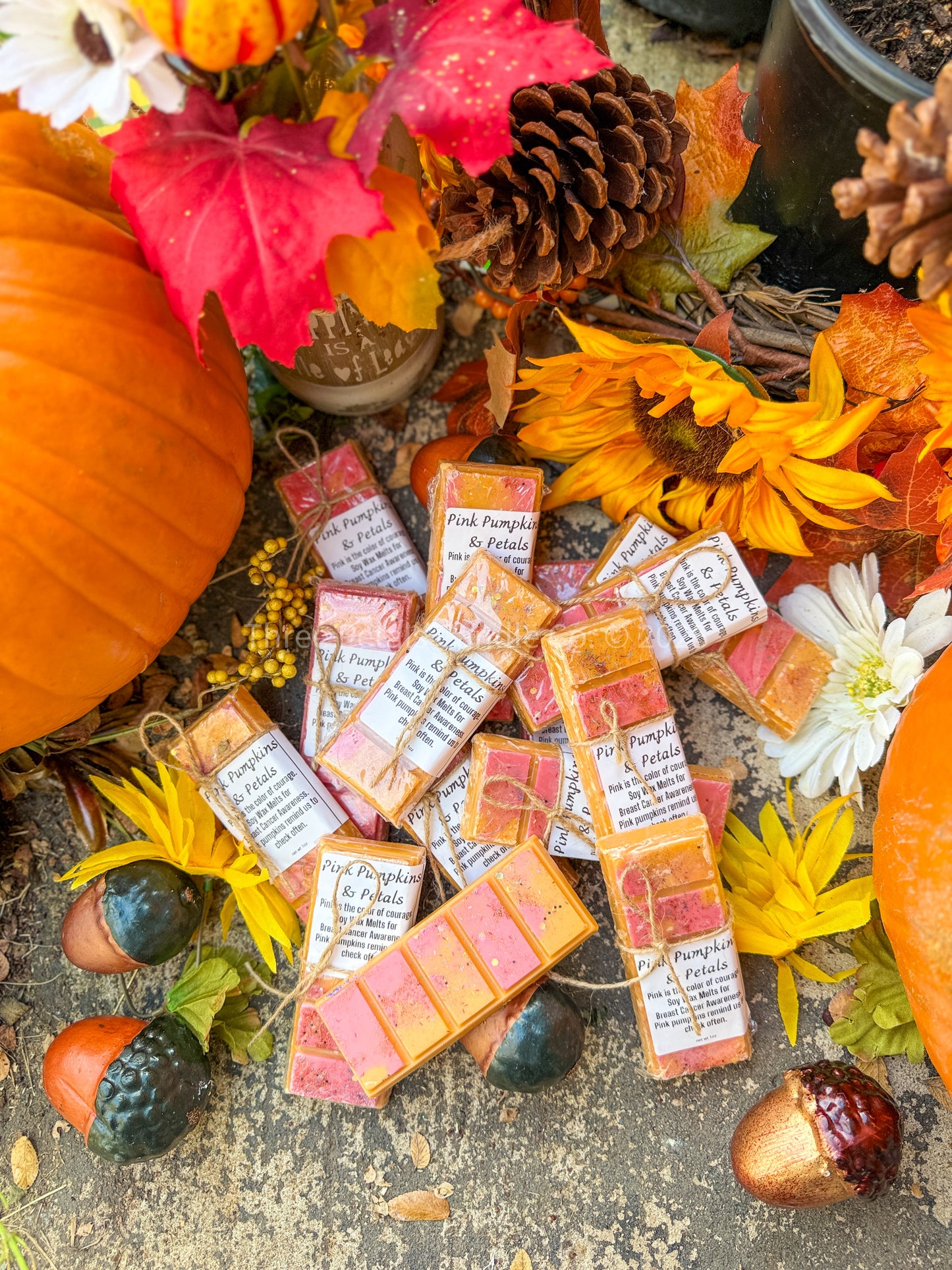 Pink Pumpkins & Petals Wax Melts – Breast Cancer Awareness 1oz Wax Melts
