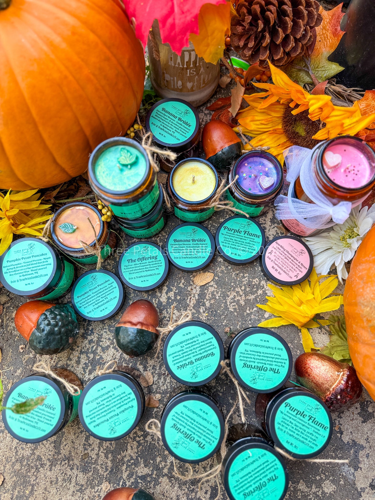 Book Nook Candle Collection – 4oz Coconut Soy